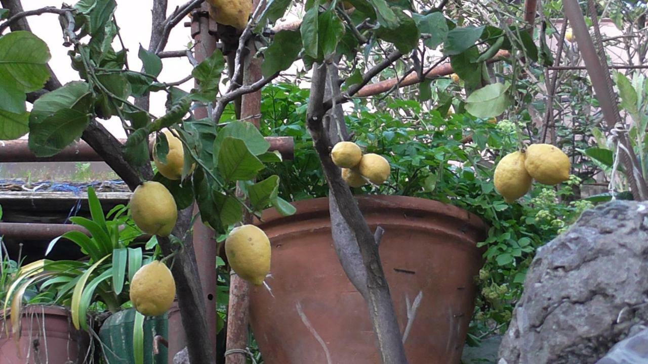 Il Golfo E I Limoni Apartment La Spezia Bagian luar foto
